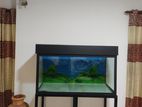 Fish Tank 4ft