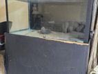 Fish Tank 4ft