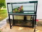 Fish Tank 4ft with Frame