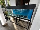 Fish tank 6ft