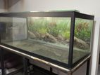 Fish Tank 6ft