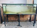 Fish Tank 6ft