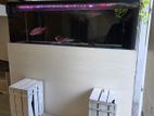 fish tank 6x2x2