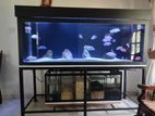 Fish Tank with Stand