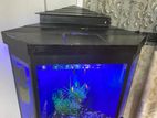 Fish Tank And Accessories