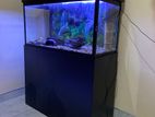 Fish Tank with Accessories