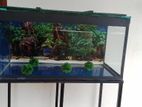 Fish Tank and All Accessories for Sale – Brand New Condition