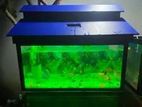 Fish Tank and Cover