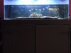 Fish Tank and Cupboard