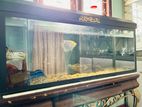 Fish Tank with Filter