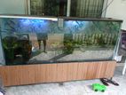 Fish Tank And ෆිල්ටෙර්