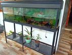 Fish Tank Full Setup