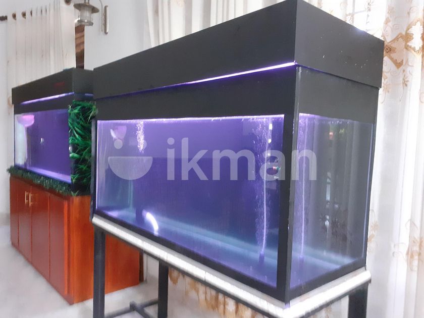 Fish Tank Using Gi Frame Fish Tank And Gi Stand in Matara City | ikman.lk