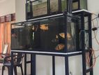 Fish Tank with Items