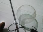 Fish tank with Light