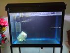 Fish Tank with