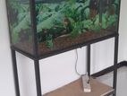 Fish Tank With Roof Stand Complete