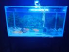 Fish Tank and Stand 3 Ft 18 Inch