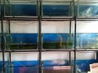 Fish Tank with stand