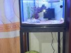 Fish Tank with Stand