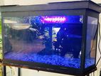 Fish Tank with Stand