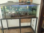 Fish Tank with Stand
