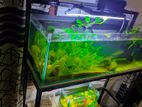 Fish Tank & Stand