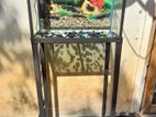 Fish Tank and Stand with Fillter Oxgen