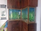 Fish Tank Aquarium 6'x4'x1.5'