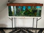 Fish Tank Aquarium