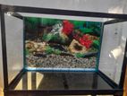 Fish Tank Brand New 1.5ft * 9 Inch *1ft