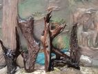 Fish Tank Drift Wood