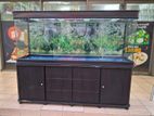 Fish Tank Dubai