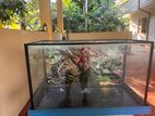 Fish Tank for 2 1/2feet with Stand