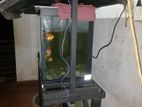 Fish Tank Full set