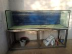 fish tank