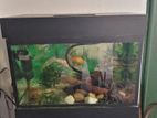 Fish Tank with