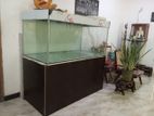 Fish Tank