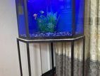 Fish tank