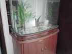 Fish Tank