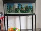 Fish Tank