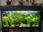 Fish Tank Full set