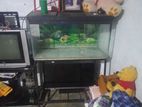 Fish Tank