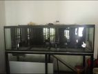 Fish Tank Full Set