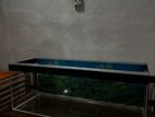 Fish Tank