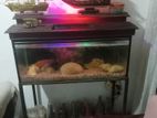 Fish Tank with Stand
