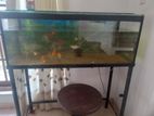 Fish Tank