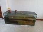 Fish Tank with