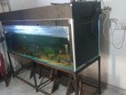 Fish Tank