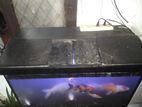 Fish Tank